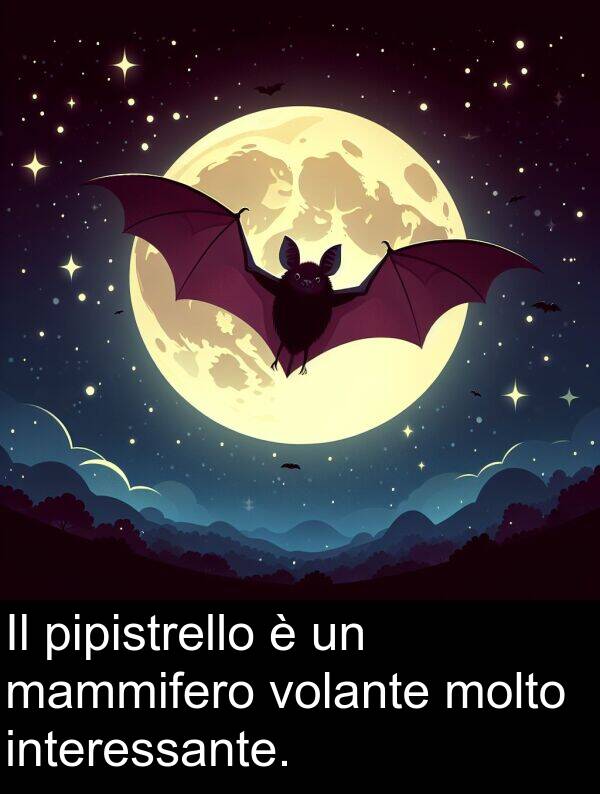 volante: Il pipistrello è un mammifero volante molto interessante.