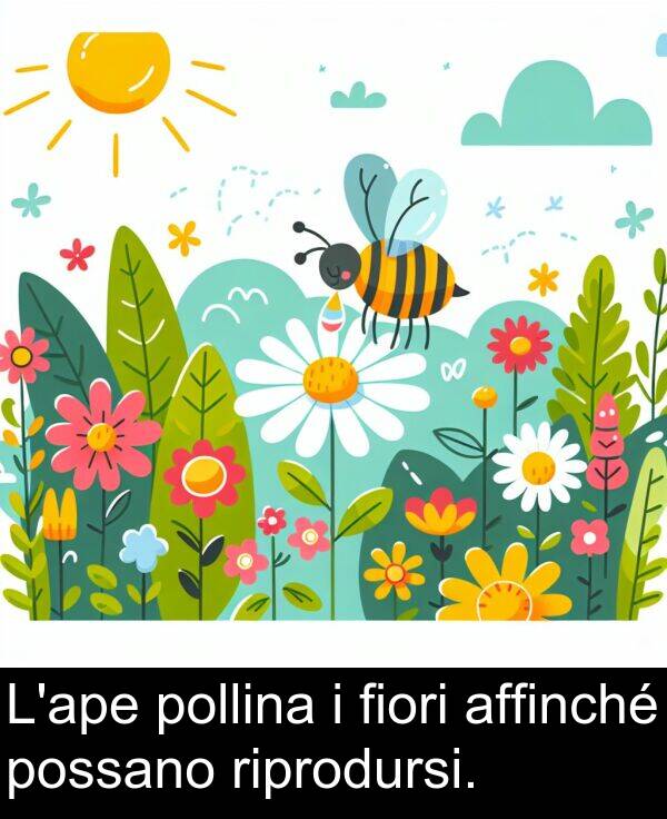 fiori: L'ape pollina i fiori affinché possano riprodursi.
