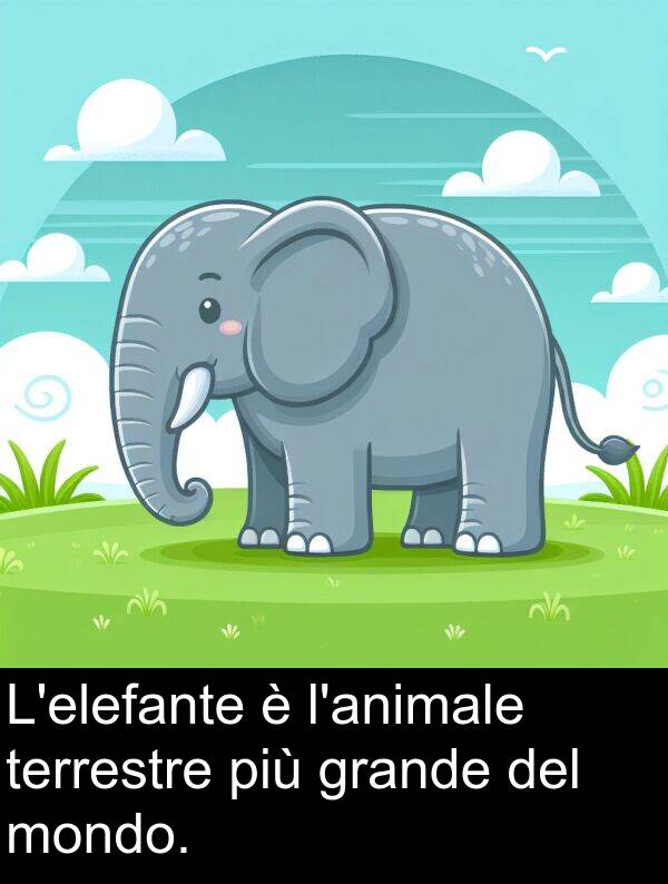 grande: L'elefante è l'animale terrestre più grande del mondo.