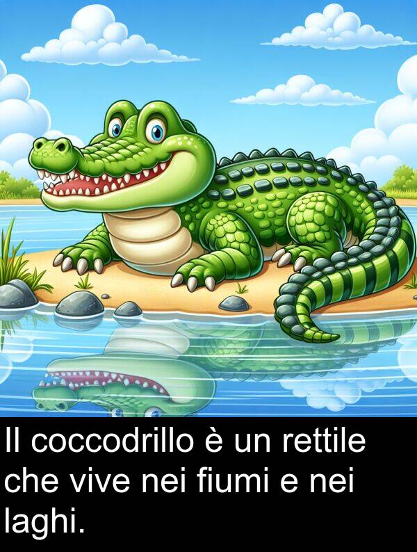 vive: Il coccodrillo è un rettile che vive nei fiumi e nei laghi.