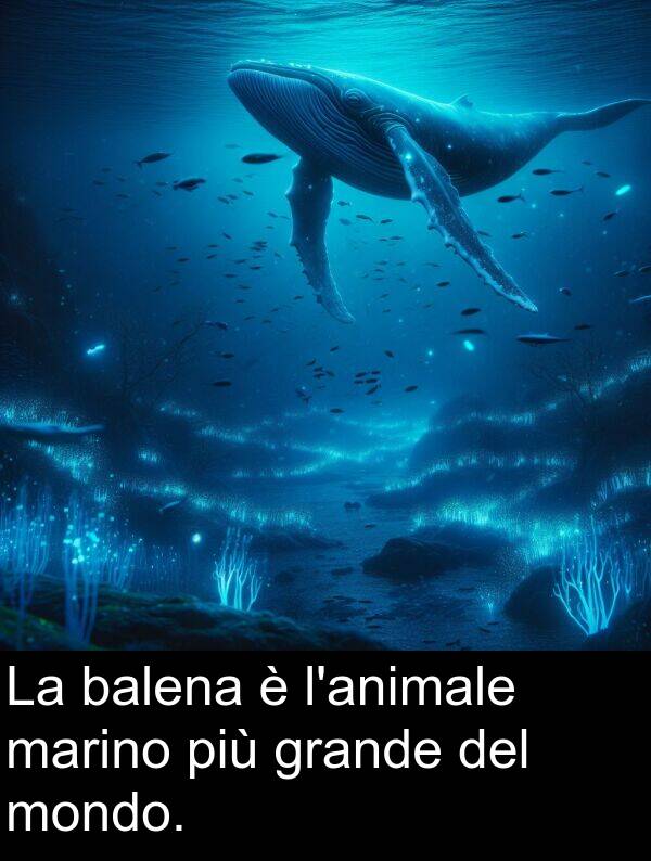 grande: La balena è l'animale marino più grande del mondo.