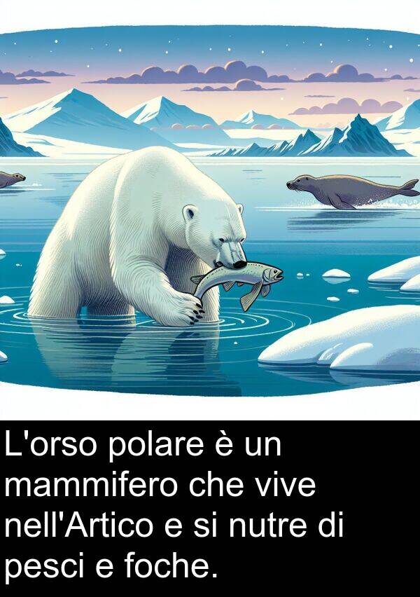 vive: L'orso polare è un mammifero che vive nell'Artico e si nutre di pesci e foche.