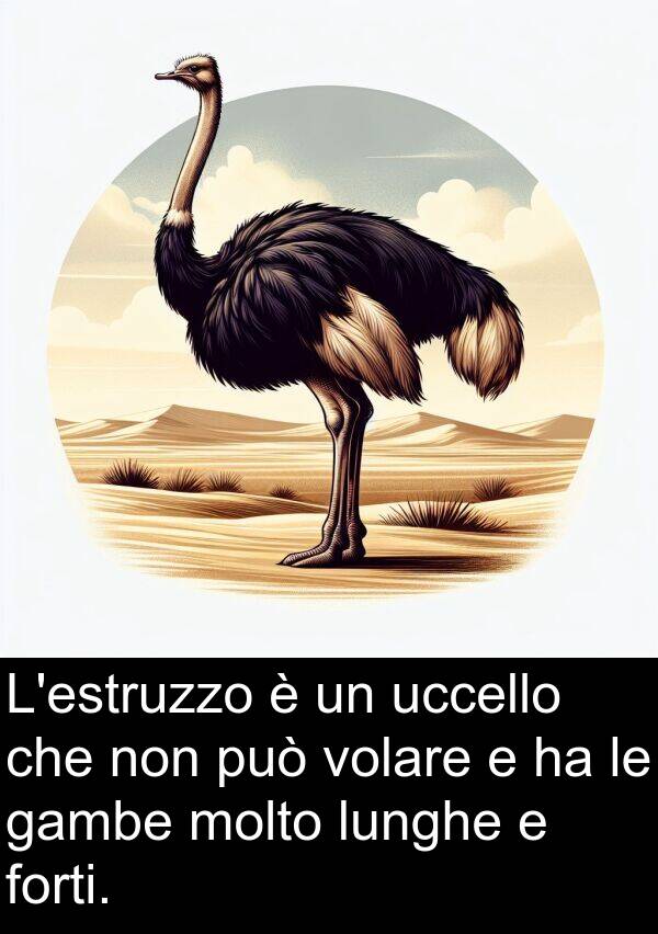 lunghe: L'estruzzo è un uccello che non può volare e ha le gambe molto lunghe e forti.