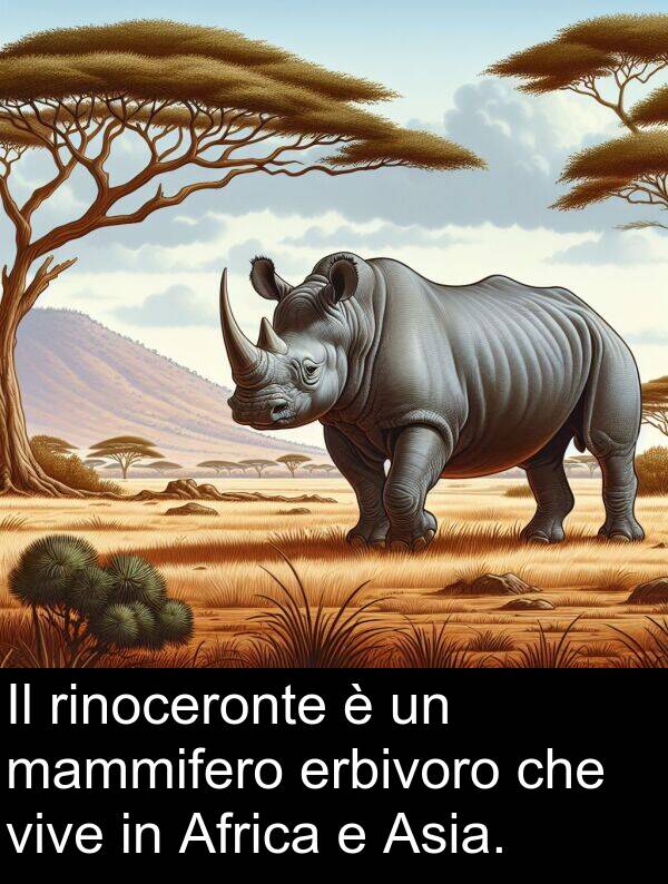 vive: Il rinoceronte è un mammifero erbivoro che vive in Africa e Asia.