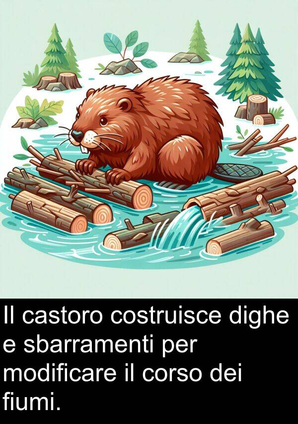 castoro: Il castoro costruisce dighe e sbarramenti per modificare il corso dei fiumi.
