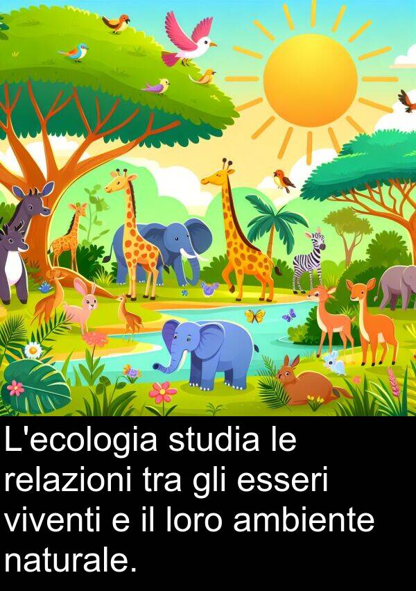 studia: L'ecologia studia le relazioni tra gli esseri viventi e il loro ambiente naturale.