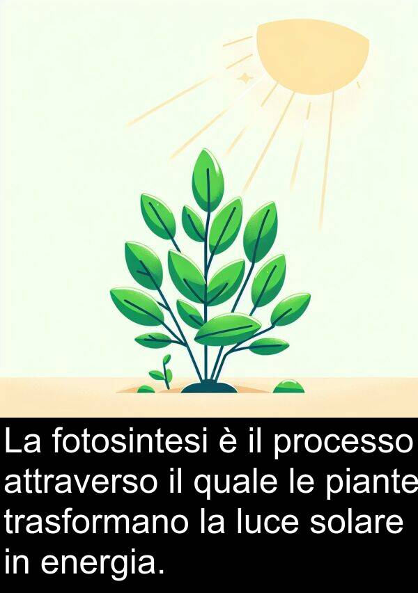 attraverso: La fotosintesi è il processo attraverso il quale le piante trasformano la luce solare in energia.