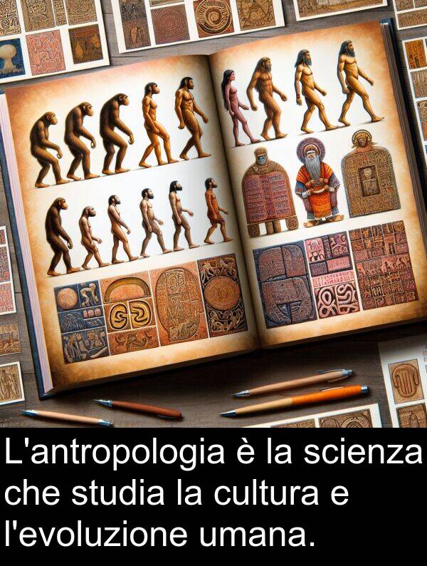 studia: L'antropologia è la scienza che studia la cultura e l'evoluzione umana.