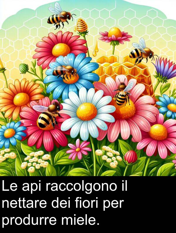 raccolgono: Le api raccolgono il nettare dei fiori per produrre miele.