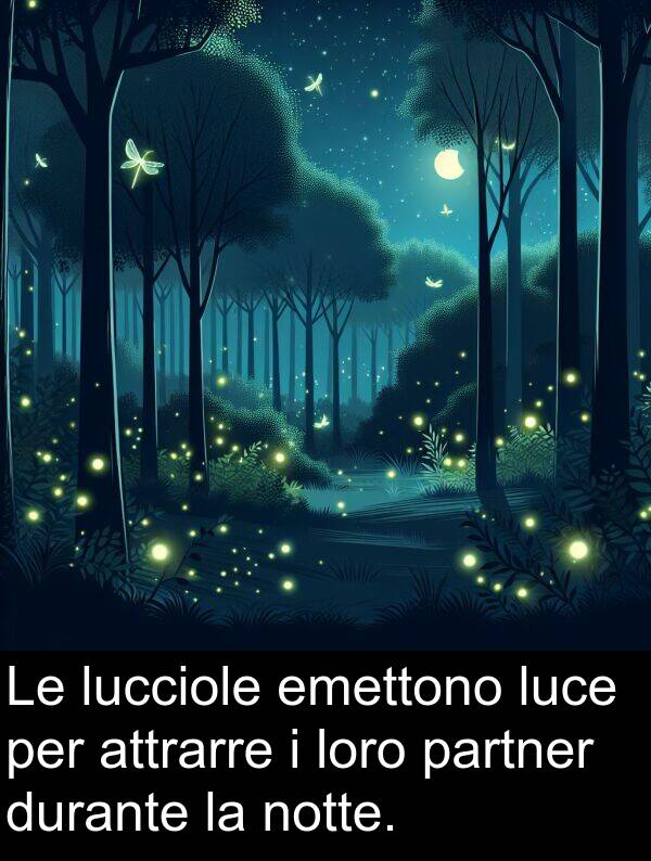 loro: Le lucciole emettono luce per attrarre i loro partner durante la notte.