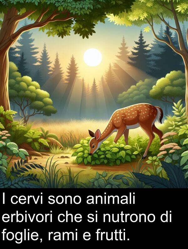 cervi: I cervi sono animali erbivori che si nutrono di foglie, rami e frutti.