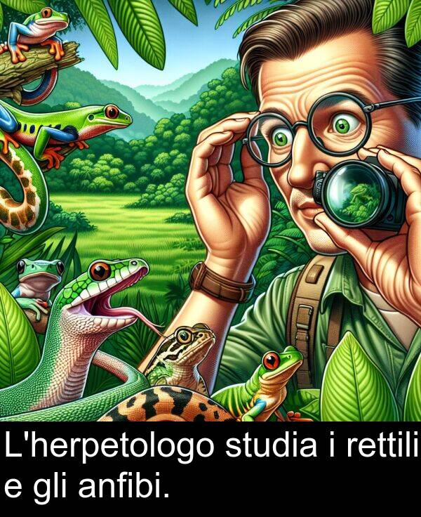 studia: L'herpetologo studia i rettili e gli anfibi.