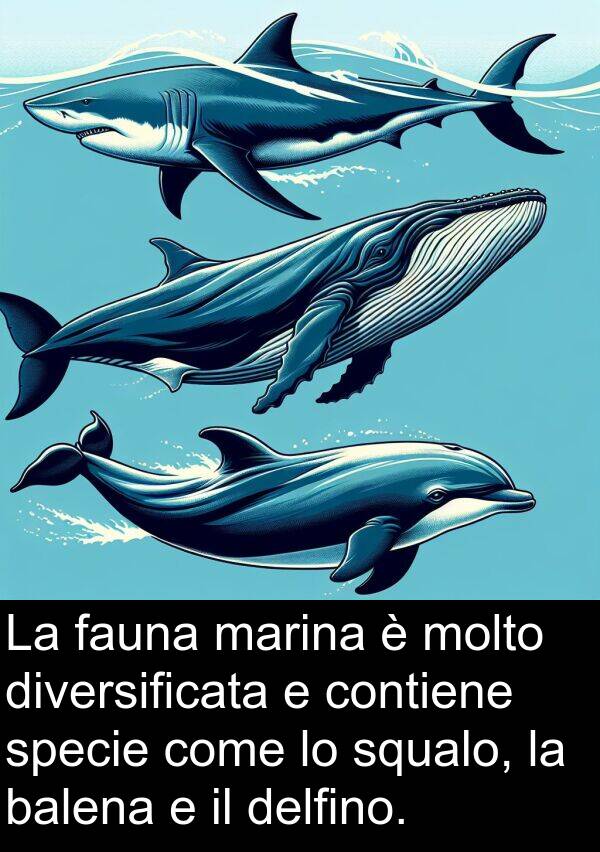 squalo: La fauna marina è molto diversificata e contiene specie come lo squalo, la balena e il delfino.