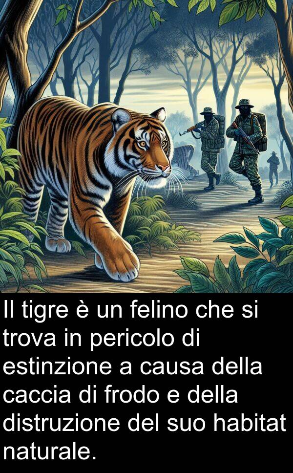 trova: Il tigre è un felino che si trova in pericolo di estinzione a causa della caccia di frodo e della distruzione del suo habitat naturale.