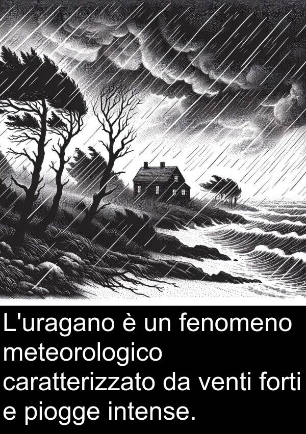 piogge: L'uragano è un fenomeno meteorologico caratterizzato da venti forti e piogge intense.