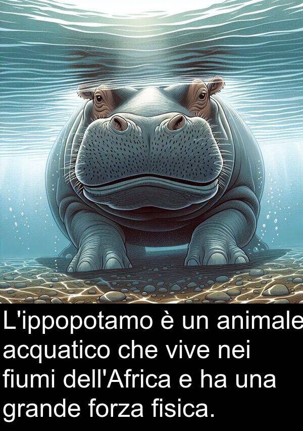acquatico: L'ippopotamo è un animale acquatico che vive nei fiumi dell'Africa e ha una grande forza fisica.
