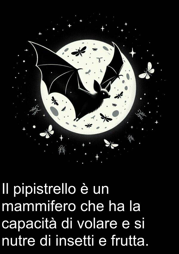 volare: Il pipistrello è un mammifero che ha la capacità di volare e si nutre di insetti e frutta.