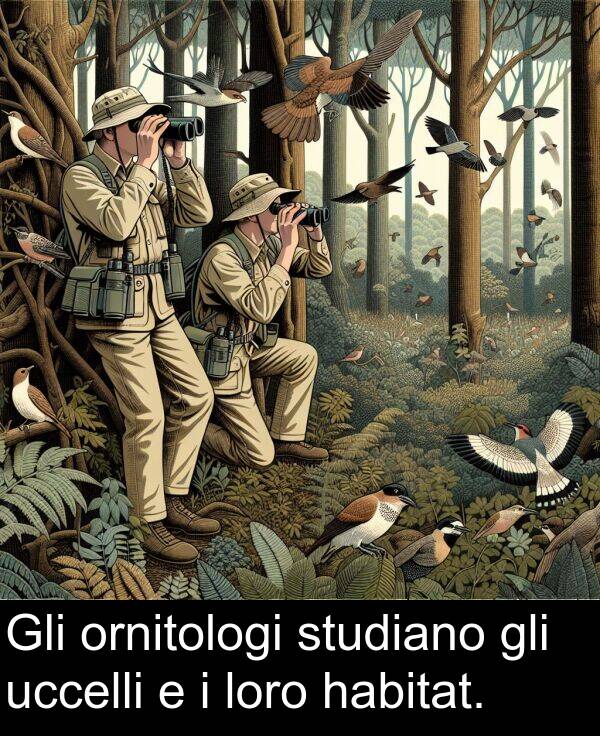 loro: Gli ornitologi studiano gli uccelli e i loro habitat.