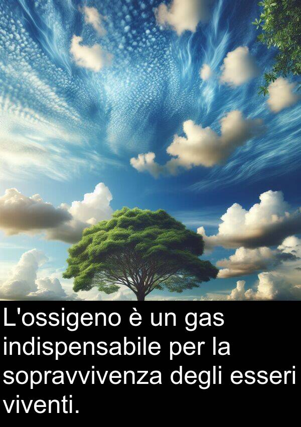 degli: L'ossigeno è un gas indispensabile per la sopravvivenza degli esseri viventi.