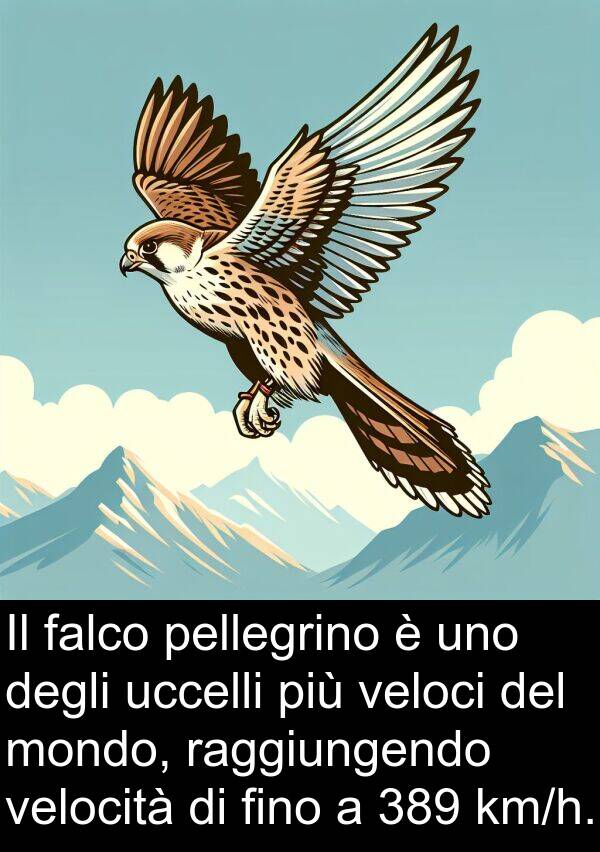 fino: Il falco pellegrino è uno degli uccelli più veloci del mondo, raggiungendo velocità di fino a 389 km/h.