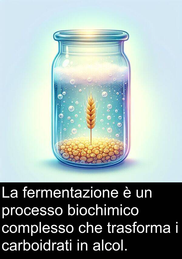 biochimico: La fermentazione è un processo biochimico complesso che trasforma i carboidrati in alcol.