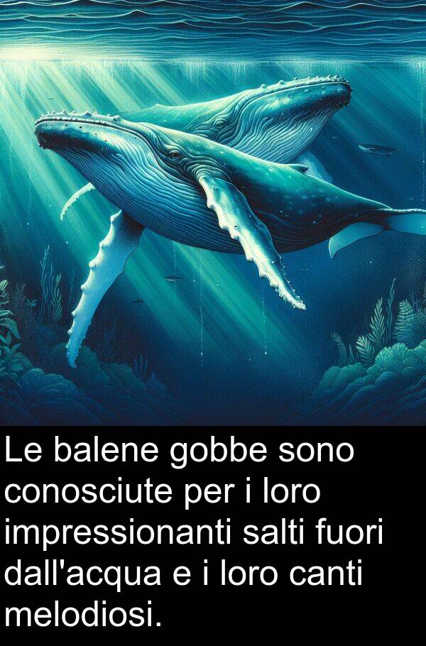 fuori: Le balene gobbe sono conosciute per i loro impressionanti salti fuori dall'acqua e i loro canti melodiosi.
