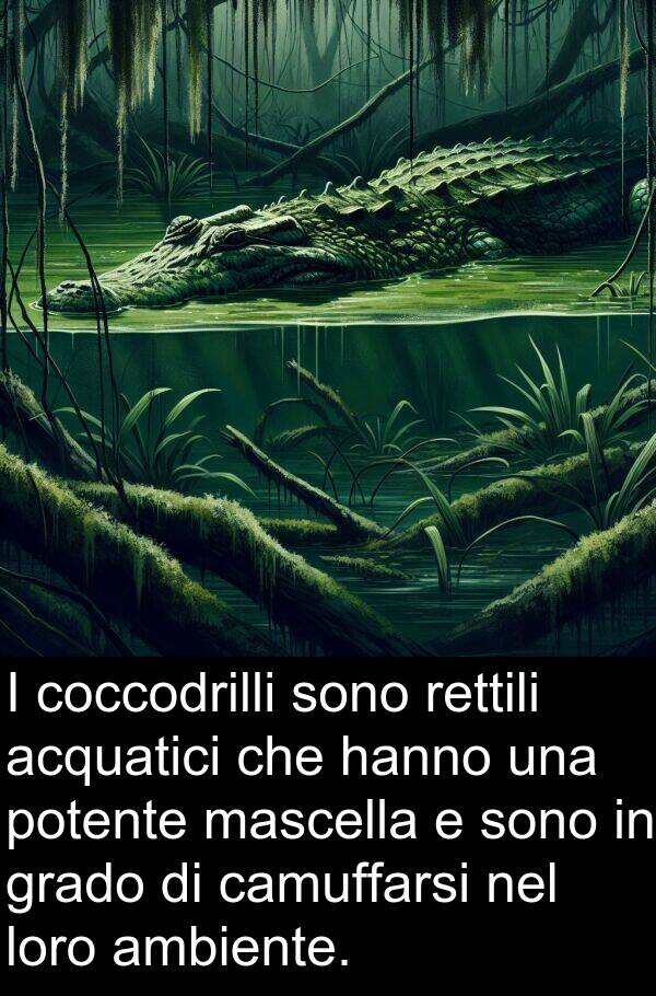 camuffarsi: I coccodrilli sono rettili acquatici che hanno una potente mascella e sono in grado di camuffarsi nel loro ambiente.