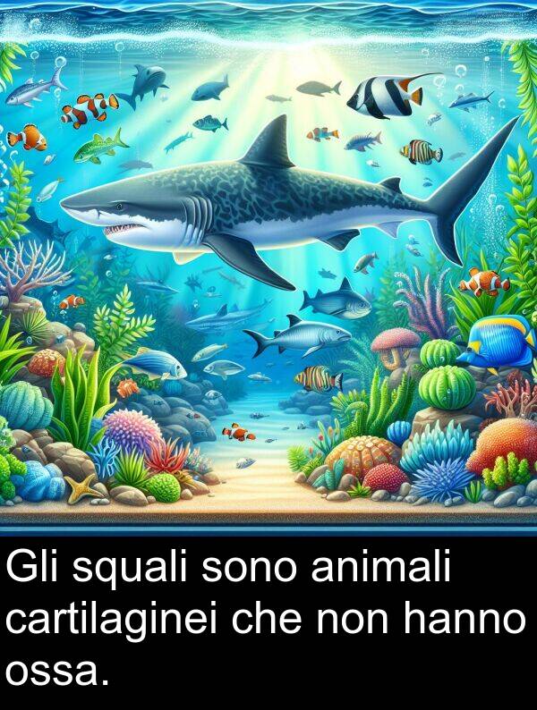 non: Gli squali sono animali cartilaginei che non hanno ossa.