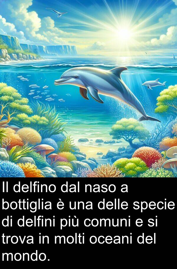 trova: Il delfino dal naso a bottiglia è una delle specie di delfini più comuni e si trova in molti oceani del mondo.