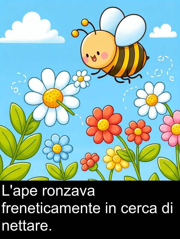 cerca: L'ape ronzava freneticamente in cerca di nettare.