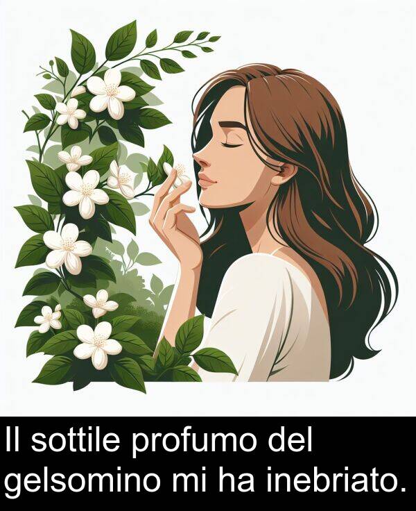 gelsomino: Il sottile profumo del gelsomino mi ha inebriato.