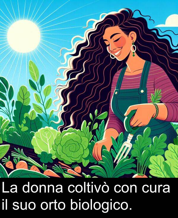 biologico: La donna coltivò con cura il suo orto biologico.
