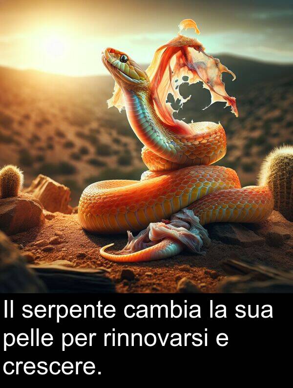 crescere: Il serpente cambia la sua pelle per rinnovarsi e crescere.
