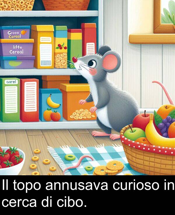 cerca: Il topo annusava curioso in cerca di cibo.