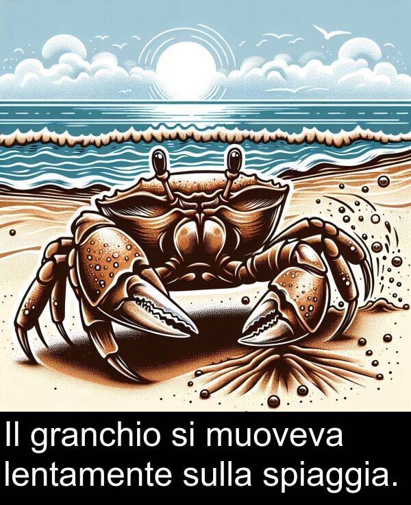 spiaggia: Il granchio si muoveva lentamente sulla spiaggia.