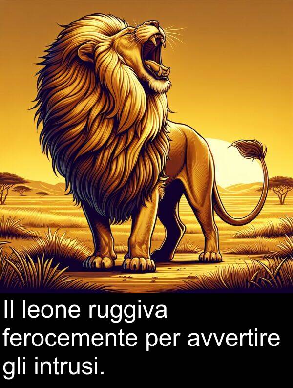 gli: Il leone ruggiva ferocemente per avvertire gli intrusi.