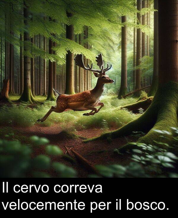 per: Il cervo correva velocemente per il bosco.