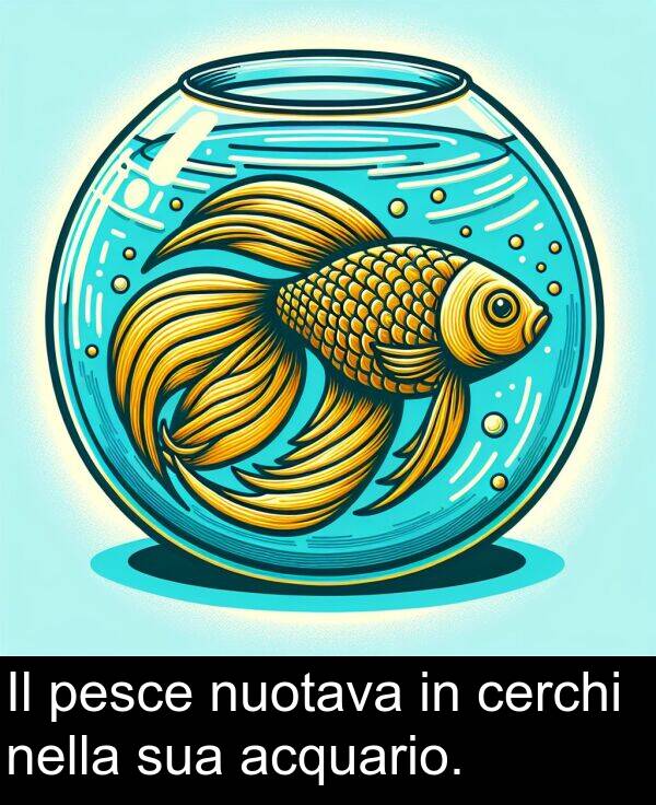 nella: Il pesce nuotava in cerchi nella sua acquario.