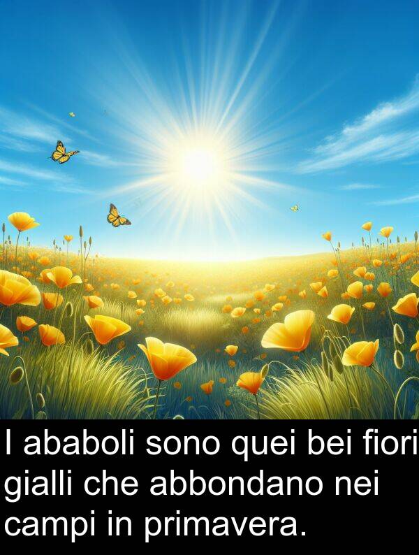 gialli: I ababoli sono quei bei fiori gialli che abbondano nei campi in primavera.