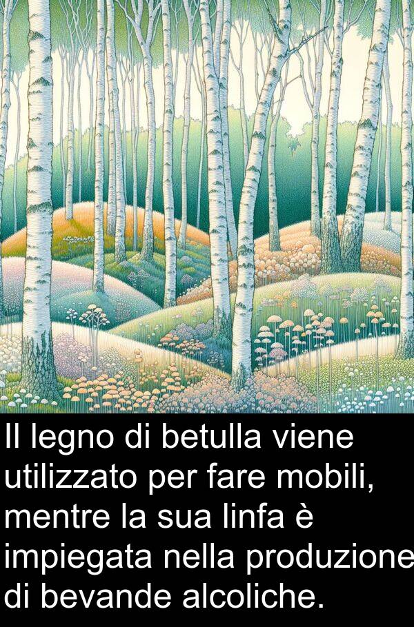 betulla: Il legno di betulla viene utilizzato per fare mobili, mentre la sua linfa è impiegata nella produzione di bevande alcoliche.