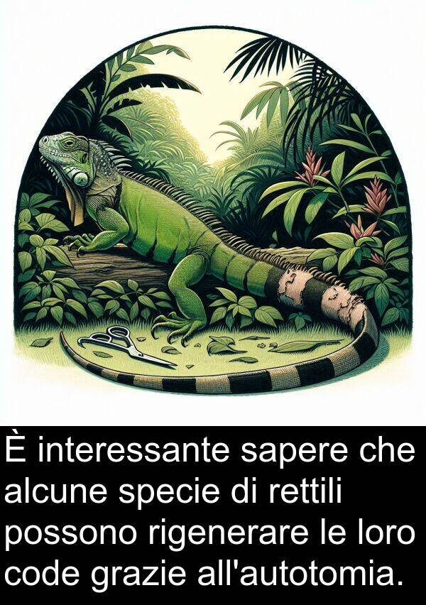 rigenerare: È interessante sapere che alcune specie di rettili possono rigenerare le loro code grazie all'autotomia.