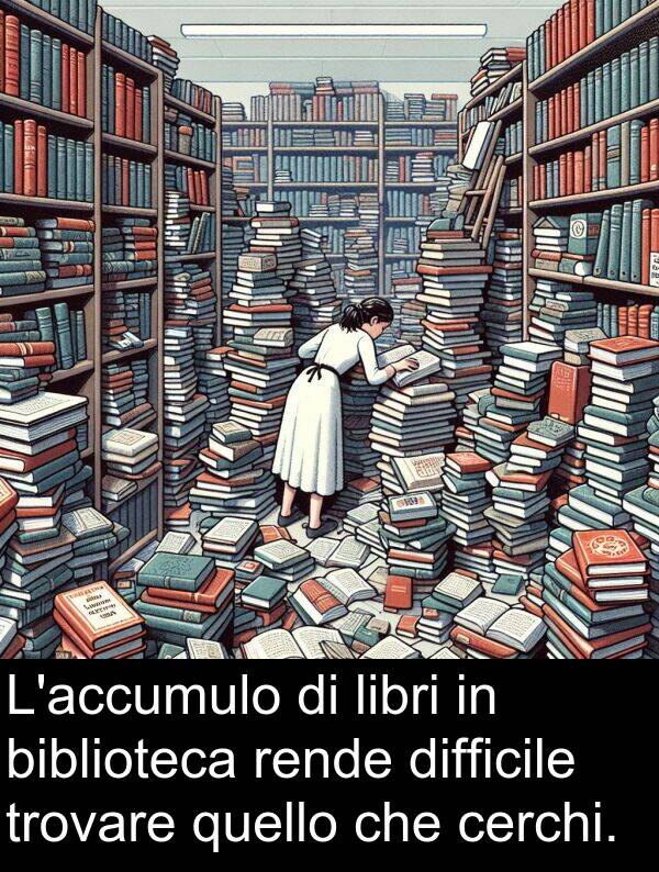quello: L'accumulo di libri in biblioteca rende difficile trovare quello che cerchi.