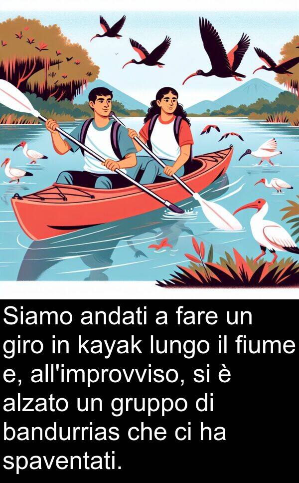 bandurrias: Siamo andati a fare un giro in kayak lungo il fiume e, all'improvviso, si è alzato un gruppo di bandurrias che ci ha spaventati.