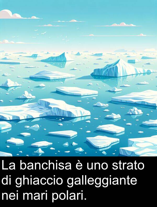 banchisa: La banchisa è uno strato di ghiaccio galleggiante nei mari polari.
