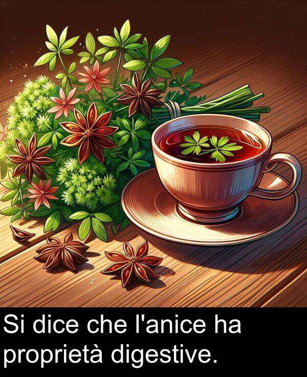 che: Si dice che l'anice ha proprietà digestive.