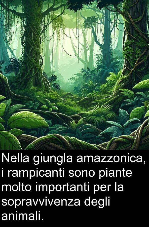 piante: Nella giungla amazzonica, i rampicanti sono piante molto importanti per la sopravvivenza degli animali.
