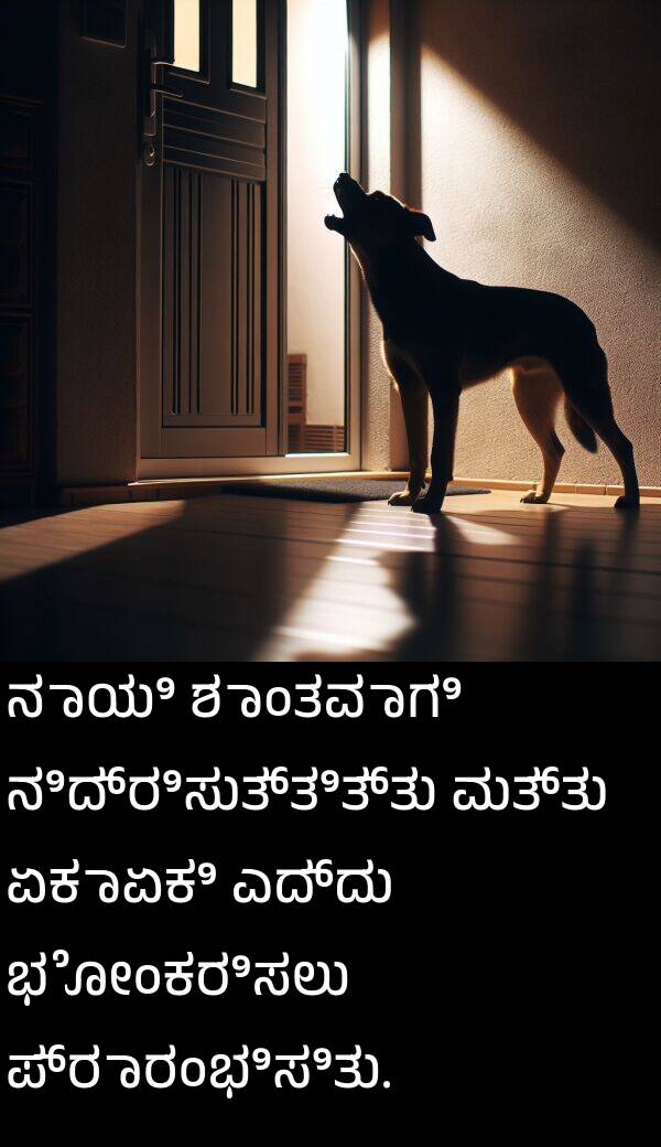 ಪ್ರಾರಂಭಿಸಿತು: ನಾಯಿ ಶಾಂತವಾಗಿ ನಿದ್ರಿಸುತ್ತಿತ್ತು ಮತ್ತು ಏಕಾಏಕಿ ಎದ್ದು ಭೋಂಕರಿಸಲು ಪ್ರಾರಂಭಿಸಿತು.