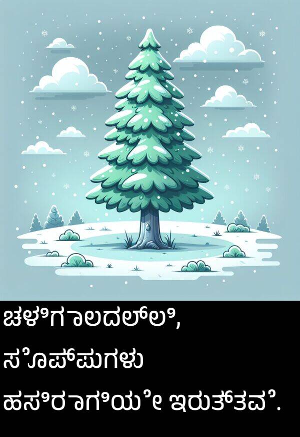 ಸೊಪ್ಪುಗಳು: ಚಳಿಗಾಲದಲ್ಲಿ, ಸೊಪ್ಪುಗಳು ಹಸಿರಾಗಿಯೇ ಇರುತ್ತವೆ.