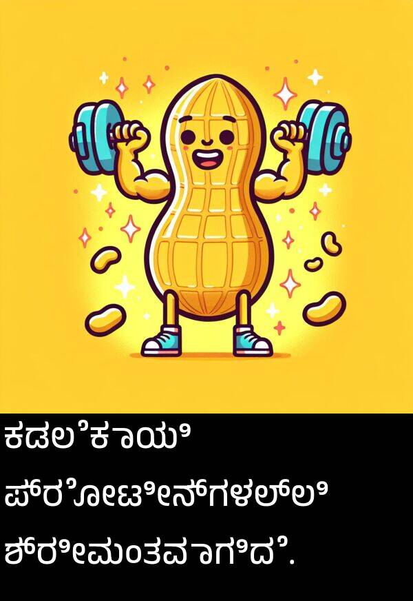 ಪ್ರೋಟೀನ್‌ಗಳಲ್ಲಿ: ಕಡಲೆಕಾಯಿ ಪ್ರೋಟೀನ್‌ಗಳಲ್ಲಿ ಶ್ರೀಮಂತವಾಗಿದೆ.