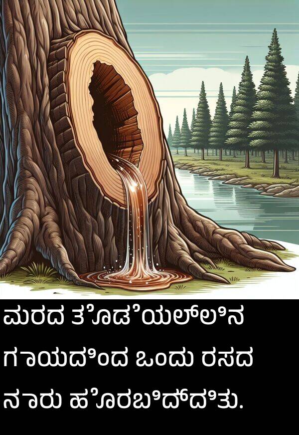 ಗಾಯದಿಂದ: ಮರದ ತೊಡೆಯಲ್ಲಿನ ಗಾಯದಿಂದ ಒಂದು ರಸದ ನಾರು ಹೊರಬಿದ್ದಿತು.